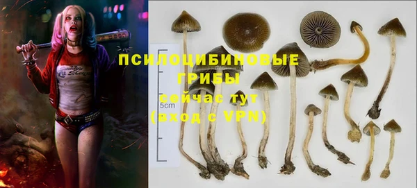 MDMA Premium VHQ Аркадак