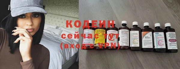 шишки Рославль