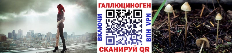 Псилоцибиновые грибы мицелий где продают наркотики Орлов